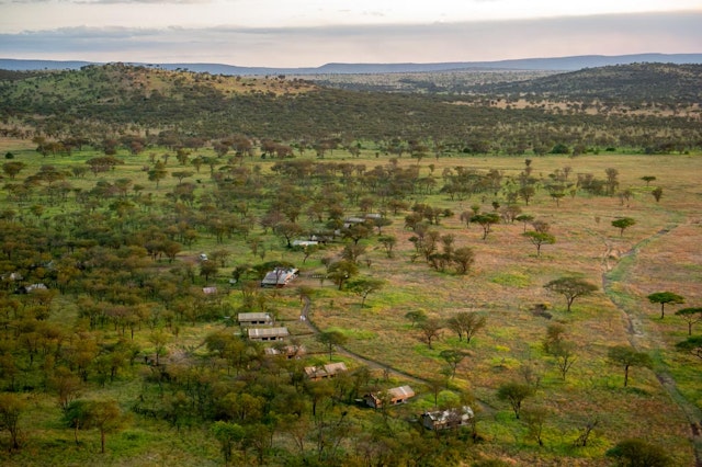 Ndutu Kati Kati Tented Camp