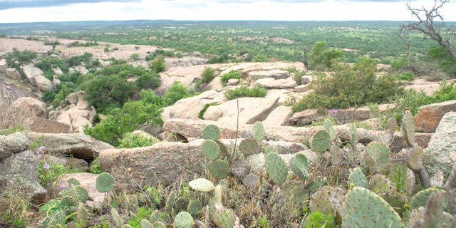 Fredericksburg-2