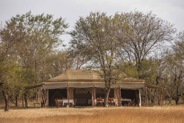 Ndutu Under Canvas