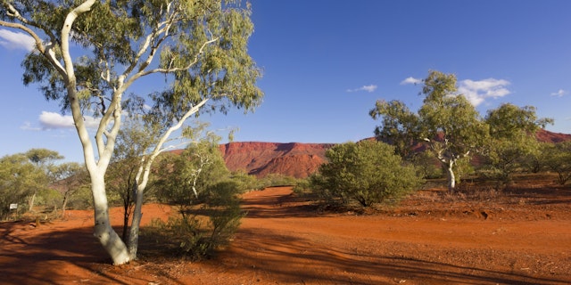 Mount Augustus National Park-2
