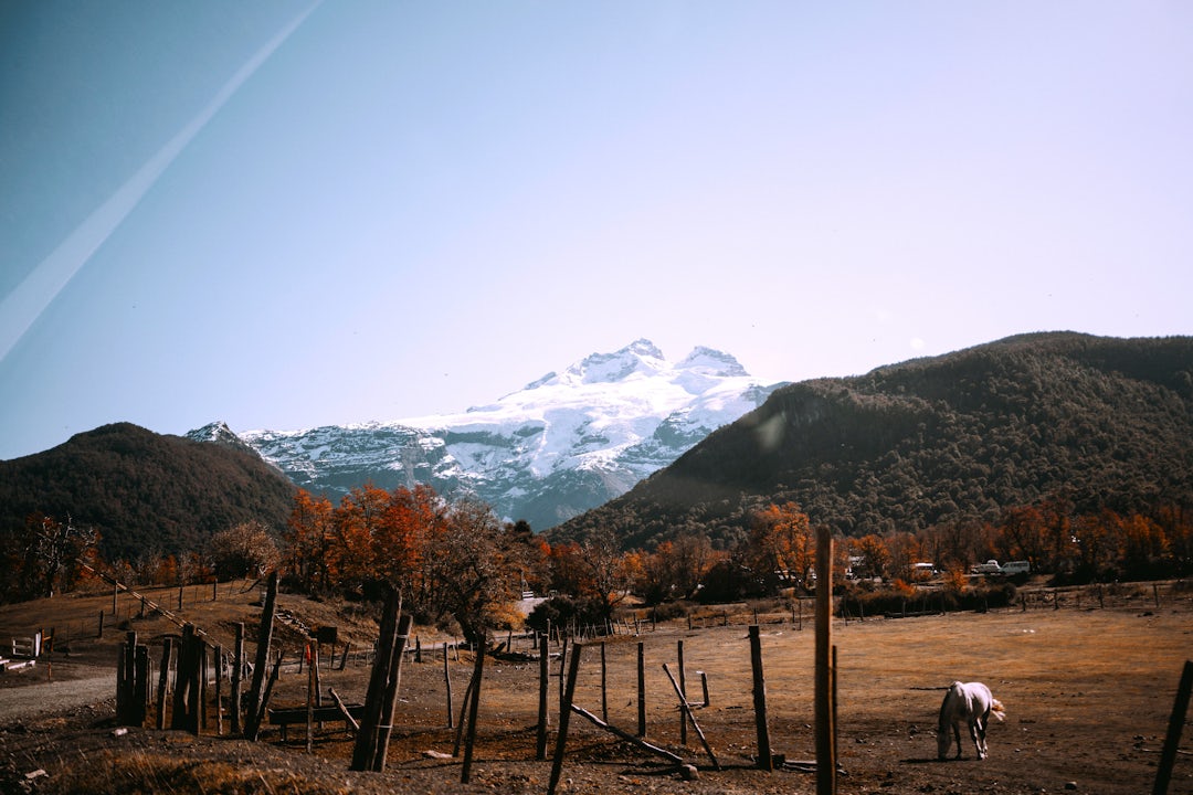Anden-Abenteuer: 3 Wochen Chile & Argentinien