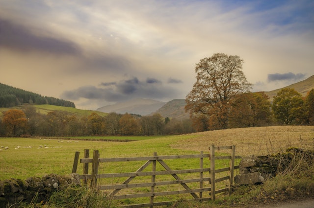 Highland Perthshire-4