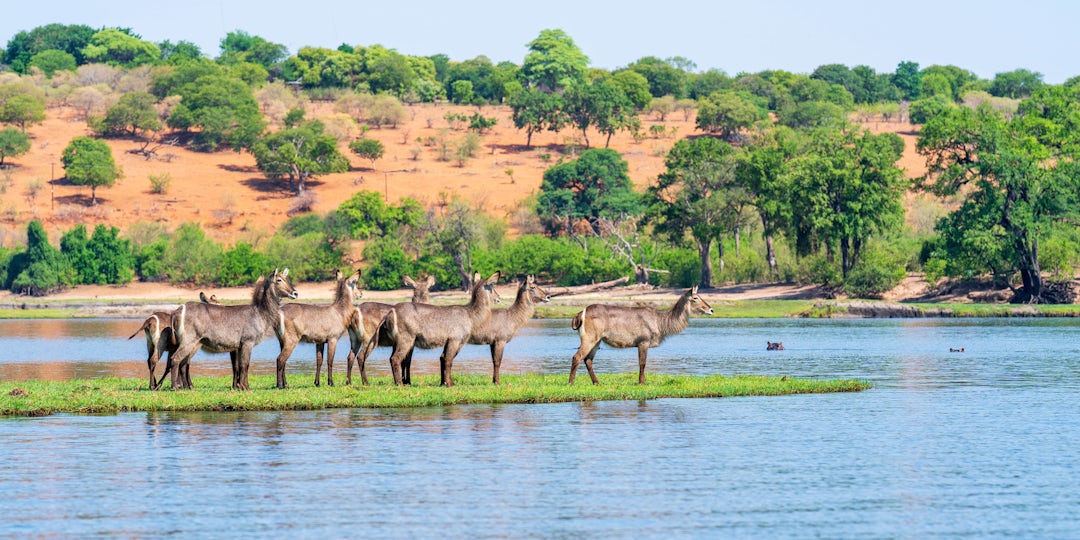 Botswana-Safari als Selbstfahrer
