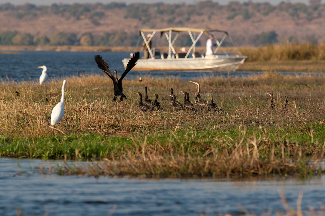 Namibia Botswana Rundreise: majestätische Wildnis
