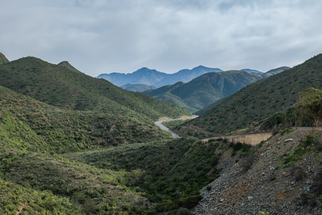 Terra Nova: Familienabenteuer auf der Garden Route