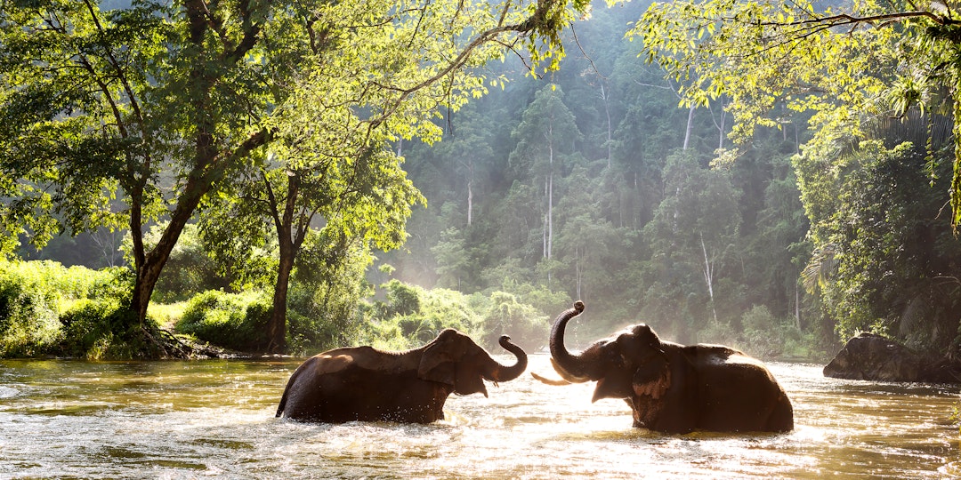 3 Tage Zentralthailand Urlaub mit privatem Guide