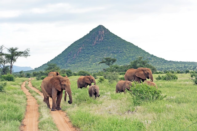 Samburu National Reserve-2