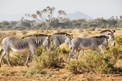 Circuit accompagné au Kenya - Image 3