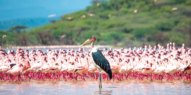 Lake Bogoria National Park-2