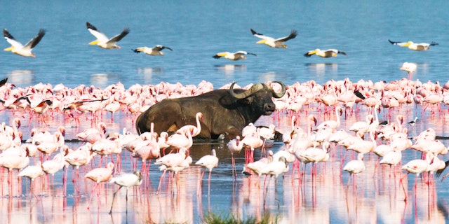 Lake Bogoria National Park-3