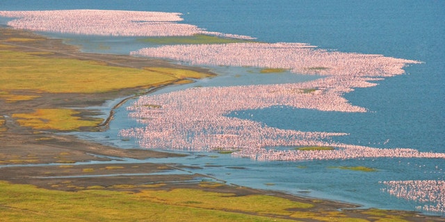 Lake Bogoria National Park-0