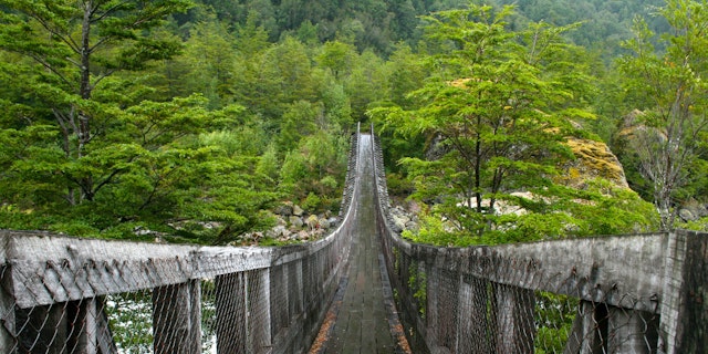 Queulat National Park-4
