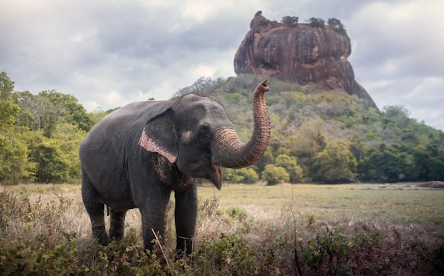 Sigiriya-0
