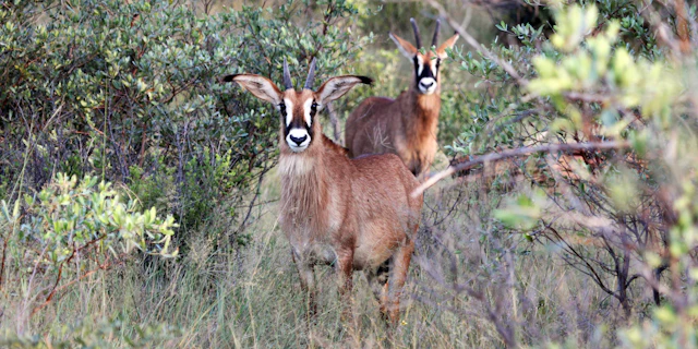 Waterberg Region-3