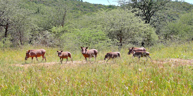 Waterberg Region-4