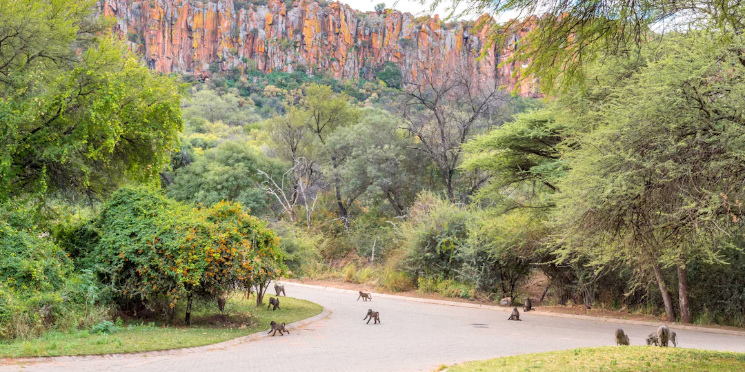 Namibia & Botswana Rundreise 3 Wochen: Ungezähmte Schönheit erleben