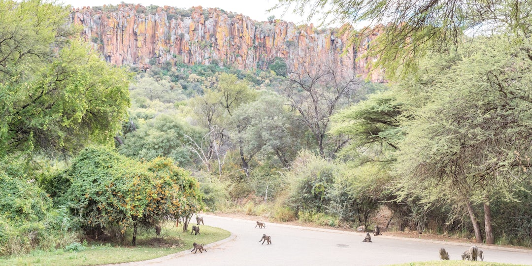 Ungezähmte Schönheit auf 20-tägiger Namibia-Botswana Rundreise
