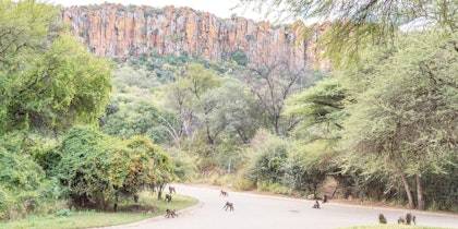 Namibia & Botswana Rundreise 3 Wochen: Ungezähmte Schönheit erleben - Image 2