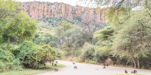 Region Waterberg-1