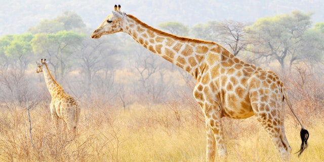 Region Waterberg-0