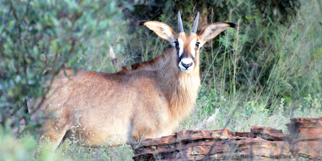 Region Waterberg-3