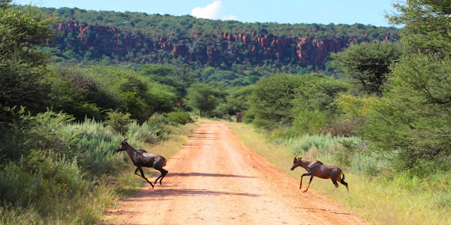 Waterberg Region-2