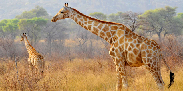 Waterberg Region-0