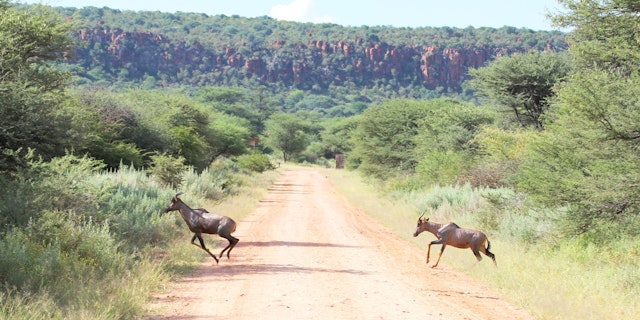 Region Waterberg-2