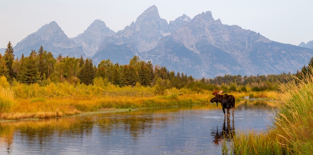 Teton Village-1