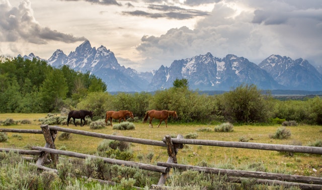 Teton Village-0