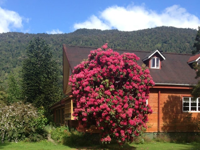 Hostal Alemán Puyuhuapi