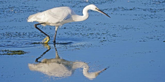Orbetello-8