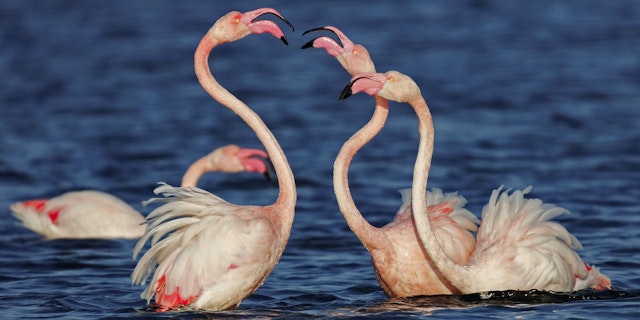 Orbetello-4