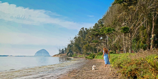 California's Central Coast-1