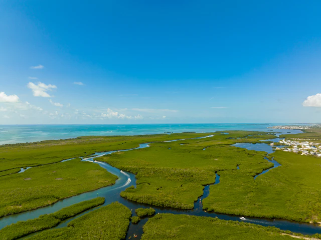 John Pennekamp Coral Reef State Park Campground