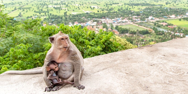 Battambang-6