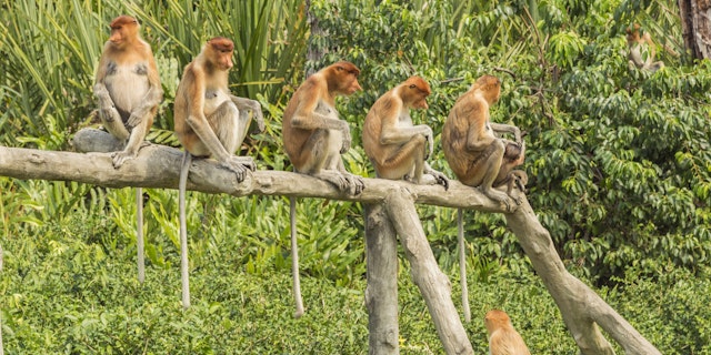 Malaysia und Singapur Rundreise: 1 Woche