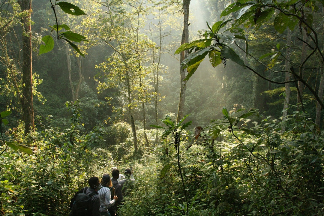 Uganda Abenteuer: Sechs-Tage-Urlaub