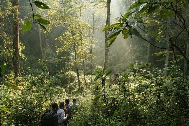 Uganda Abenteuer: Sechs-Tage-Urlaub