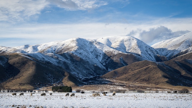 Lake Tekapo-1