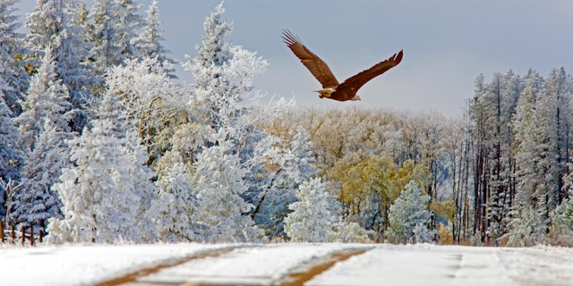 Elkwater-3