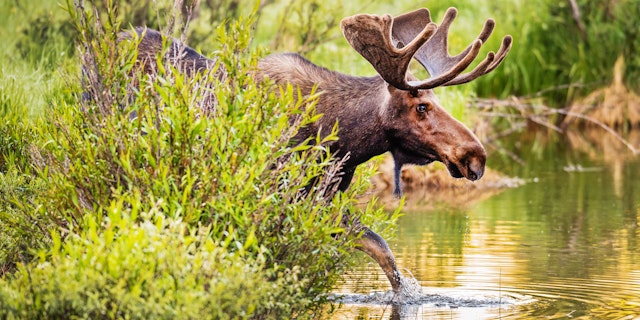 Elkwater-1