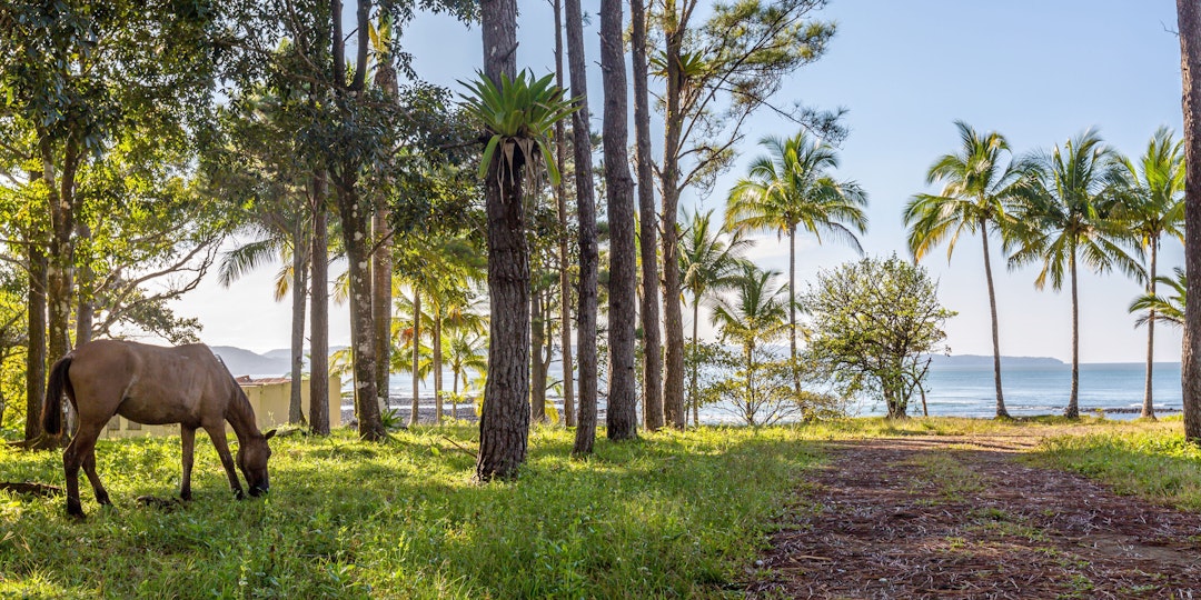 Karibik-Abenteuer: Von Panama nach Costa Rica