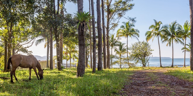 Panama Rundreise mit Baden und Naturwanderung