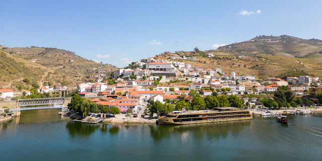 Pinhão-1