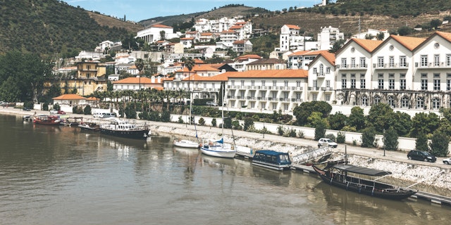 Pinhão-1