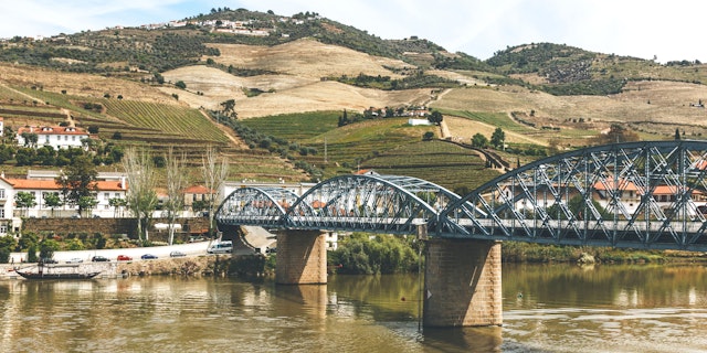 Pinhão-3