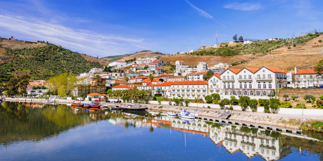Pinhão-3