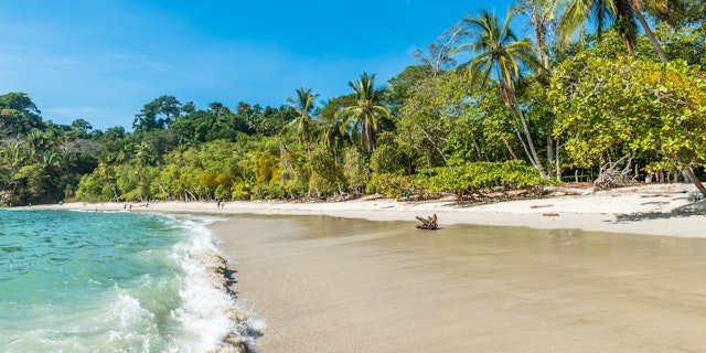 Strand, Regenwald und wilde Tierwelt