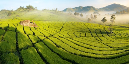 Circuit à Java - Image 1